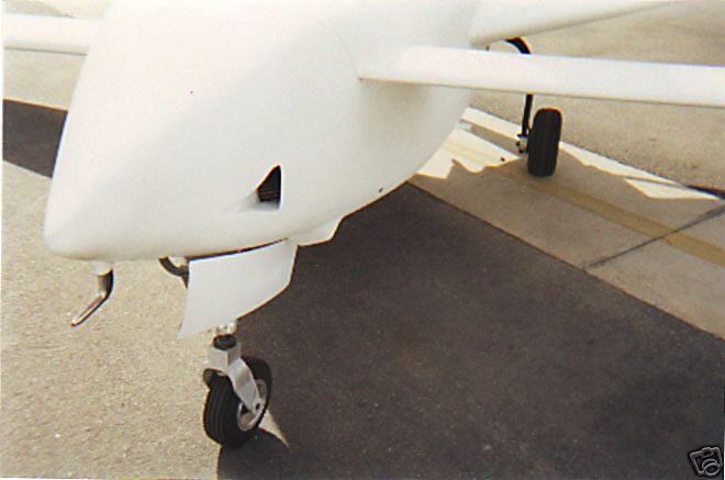 Nose.jpg