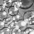 Thumbnail for version as of 04:28, 21 August 2010