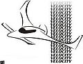 Velo fade logo.jpg