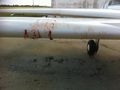 Abraham Bird Strike-1.jpg