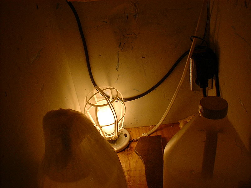 File:Hotbox2.jpg