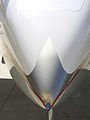 Silver-nose.jpg